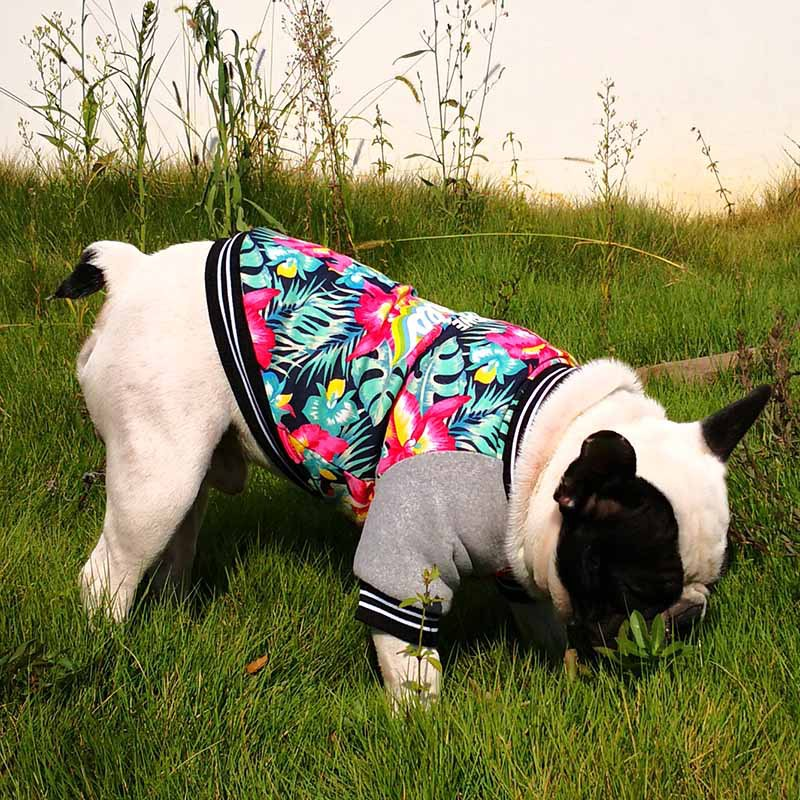 Pitbull Pet Dog Clothes Stretch Printed Two-legged Clothes