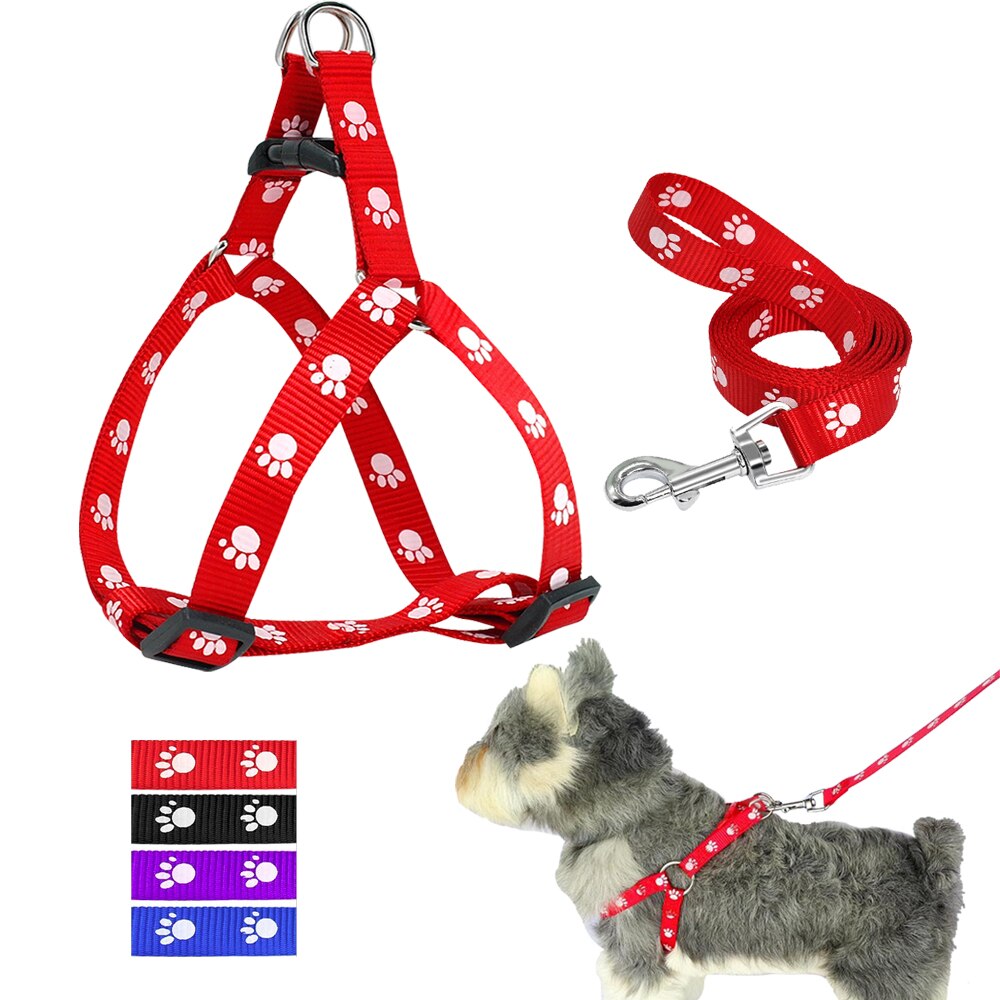 Printed dog leash