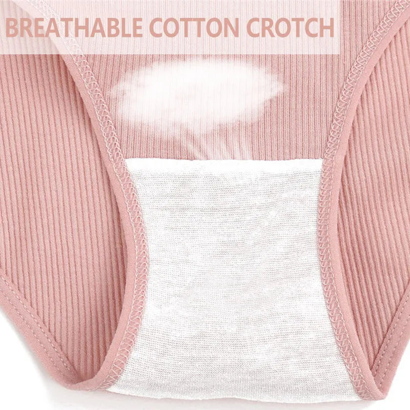 FINETOO 3PCS/Set Cotton Panties Female Underpants Sexy Panties Women