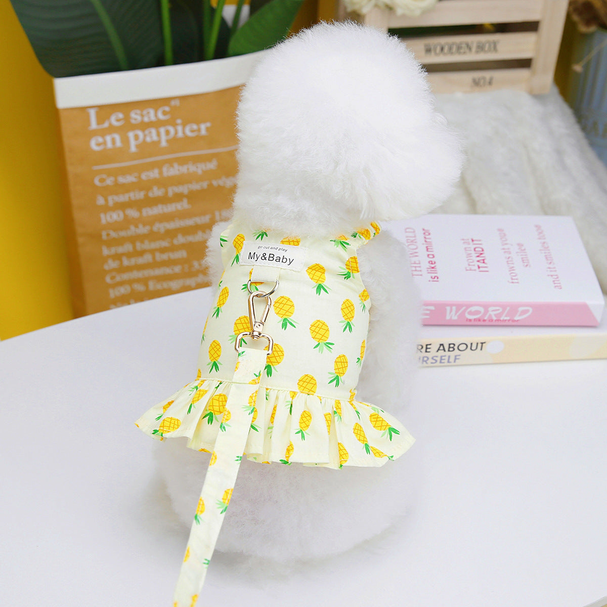 Pet Clothes Dog Fruit Skirt With Rope