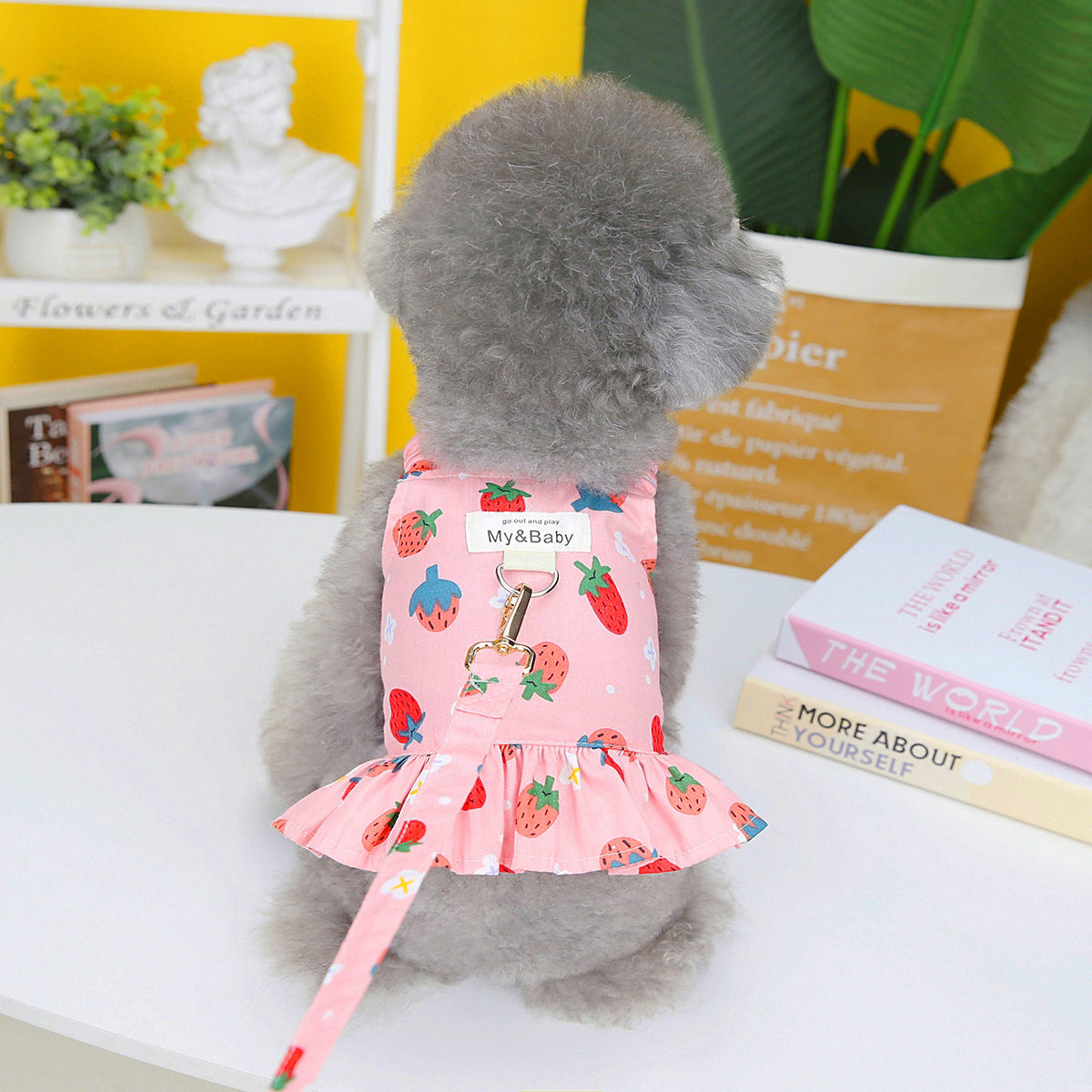 Pet Clothes Dog Fruit Skirt With Rope