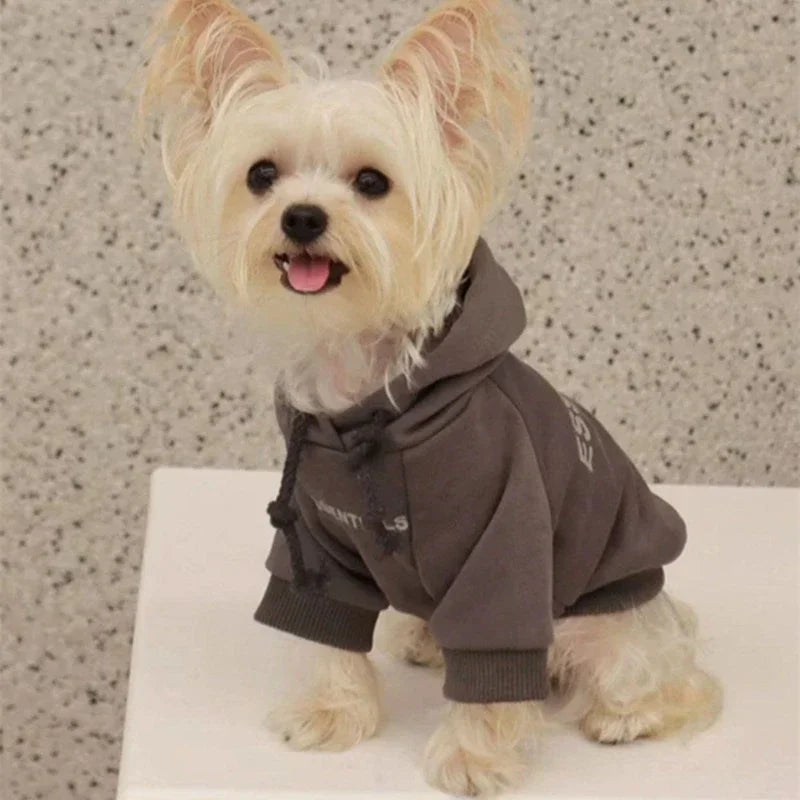 Dog Hoodies Letter Fleece Lined Designer