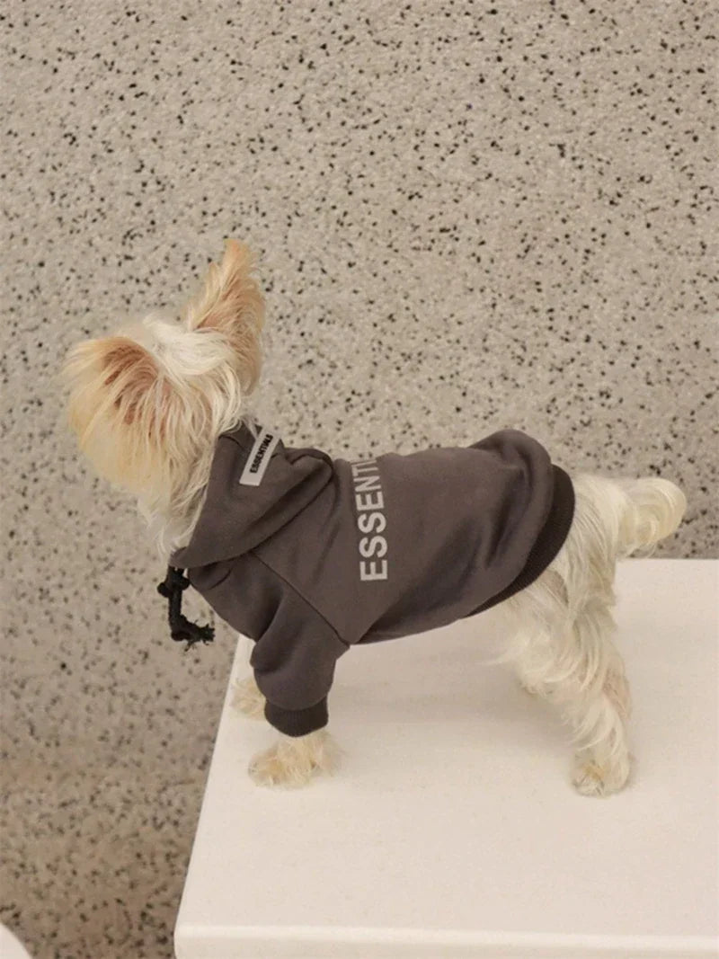 Dog Hoodies Letter Fleece Lined Designer