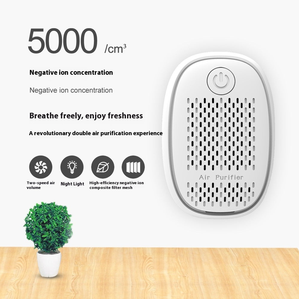 Small Household Filter Anion Purification